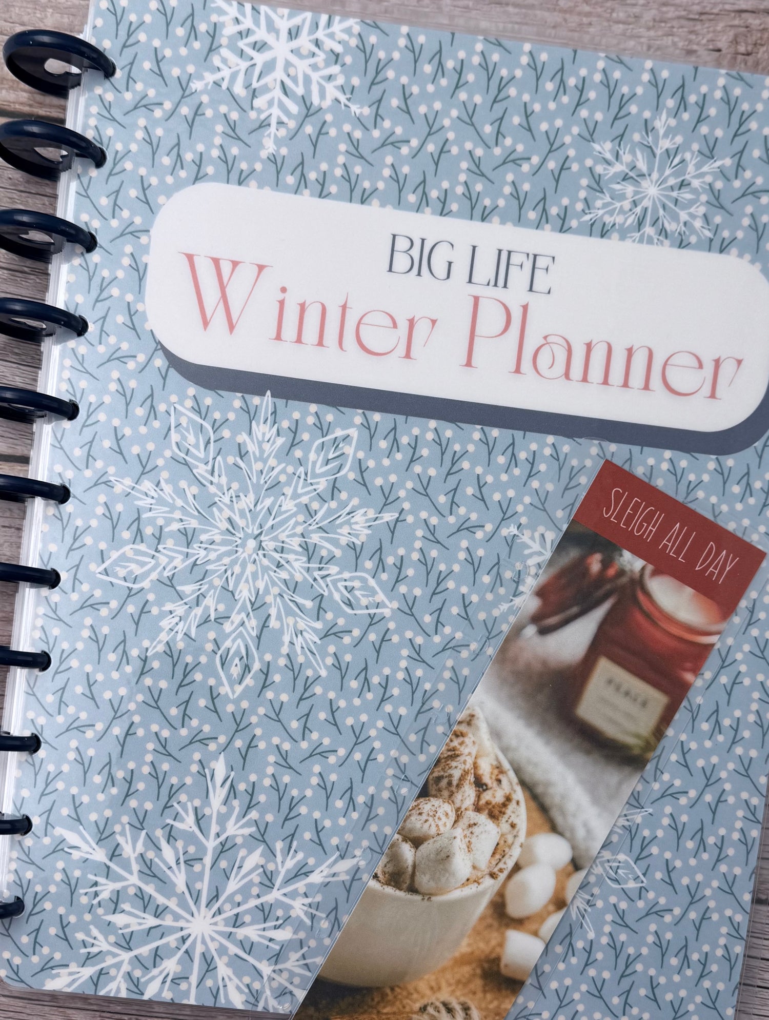 Big Life Planners