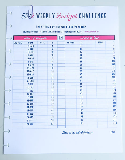 Pink Add-on: 2024 Budget Sheet (52/2 wks- 1/7)