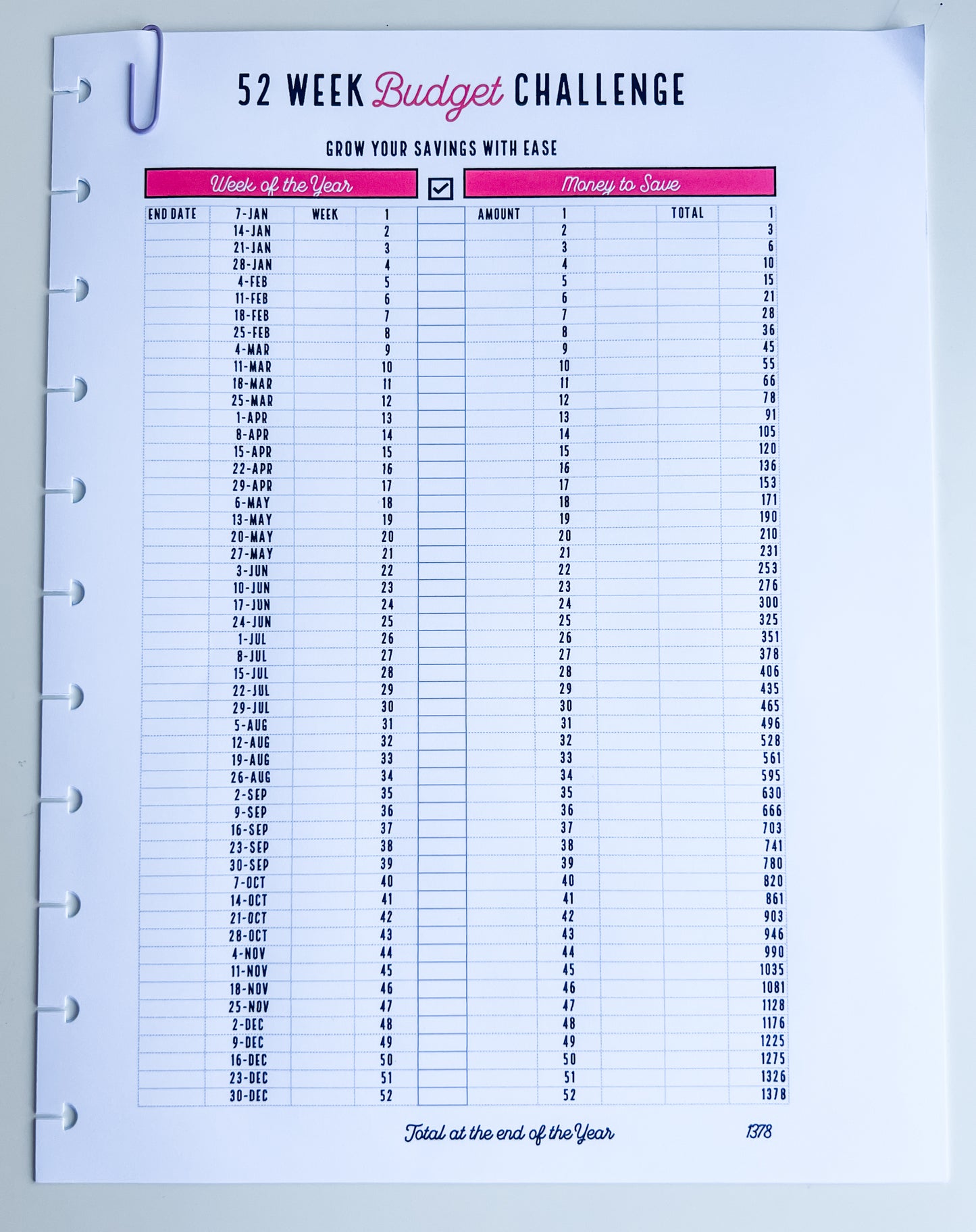 Pink Add-on: 2024 Budget Sheet